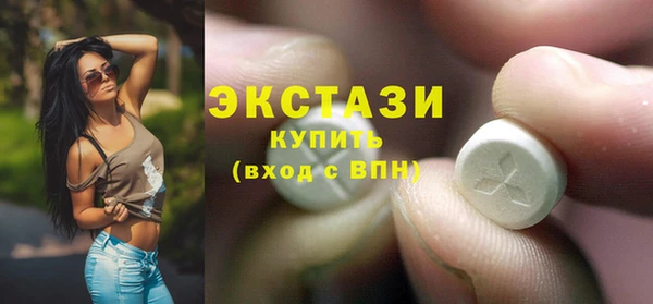 индика Арсеньев