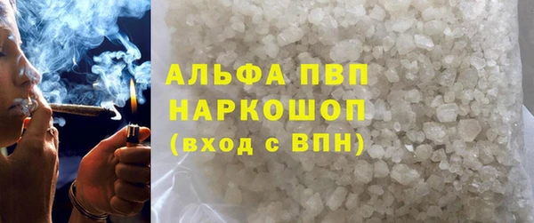 индика Арсеньев